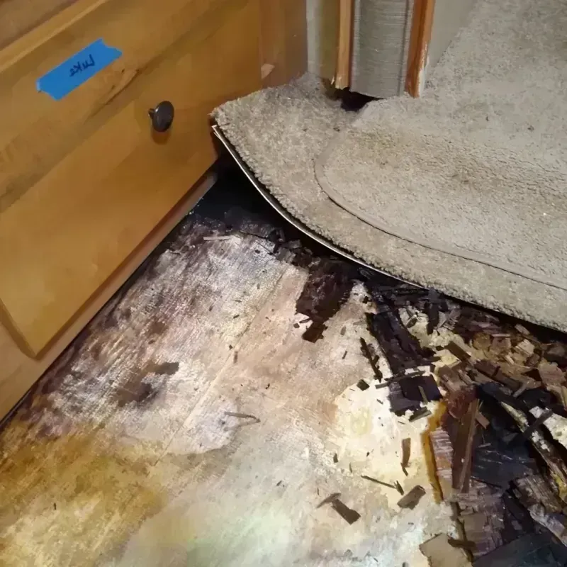 Wood Floor Water Damage in Frazier Park, CA